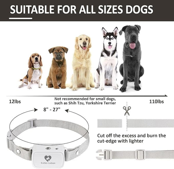 No shock dog training collar with beep and vibration training cues