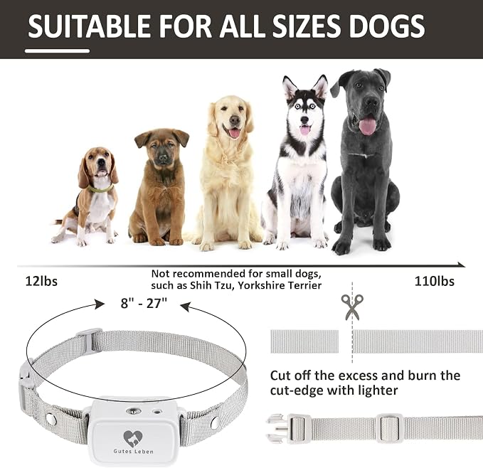 No shock dog training collar with beep and vibration training cues
