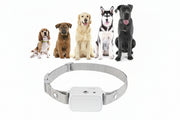 No shock dog training collar with beep and vibration training cues