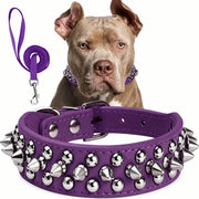 Studded dog collar in purple
