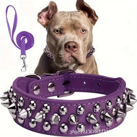 Adjustable dog training collar with chain design