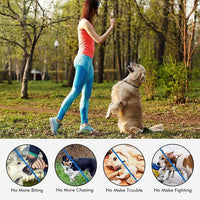 Waterproof bark collar for everyday dog training and barking control