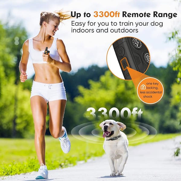 Waterproof e-collar for outdoor dog obedience and behaviour training