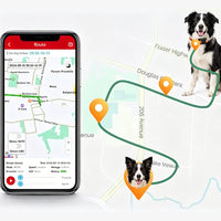 Waterproof pet GPS tracker designed for everyday outdoor dog tracking