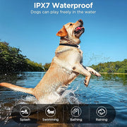 IPX7 waterproof rechargeable dog training collar receiver