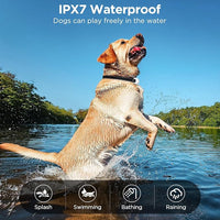IPX7 waterproof rechargeable dog training collar receiver