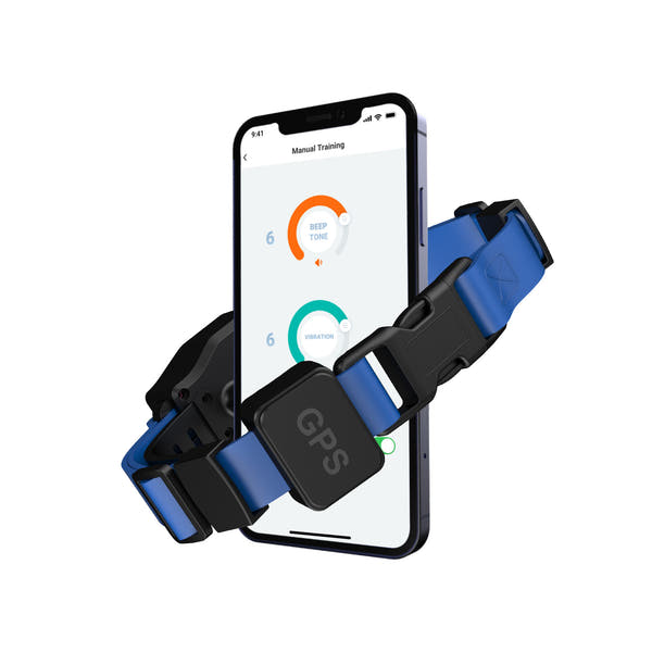 Wireless dog fence with flexible virtual boundary setup
