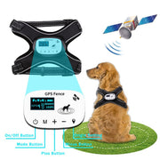 Front view of chest-mounted electronic dog harness