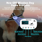 Dog wearing a chest-mounted electronic harness outdoors