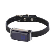 Dog location device designed for everyday walks