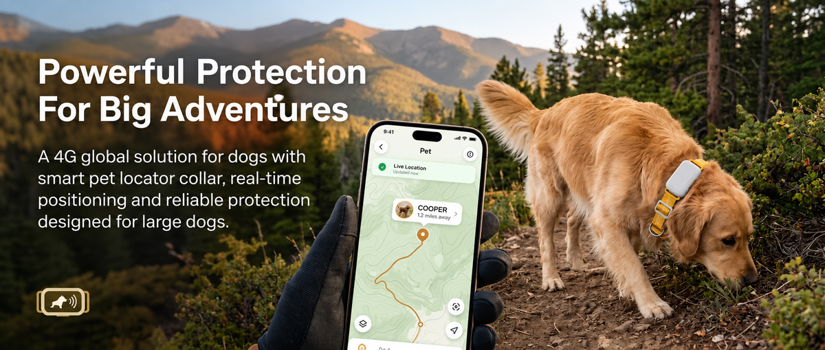 Dog wearing a smart location safety device outdoors
