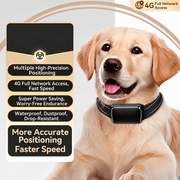 Dog safety device designed for everyday walks