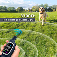 Train with Confidence: 2-in-1 Dog Shock & Bark Collar