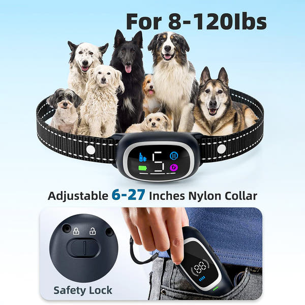 Train with Confidence: 2-in-1 Dog Shock & Bark Collar