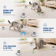 Interactive self-play exercise and enrichment toy for indoor cats