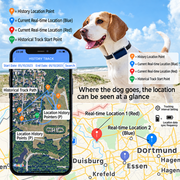Pet safety collar designed for walks and outdoor adventures