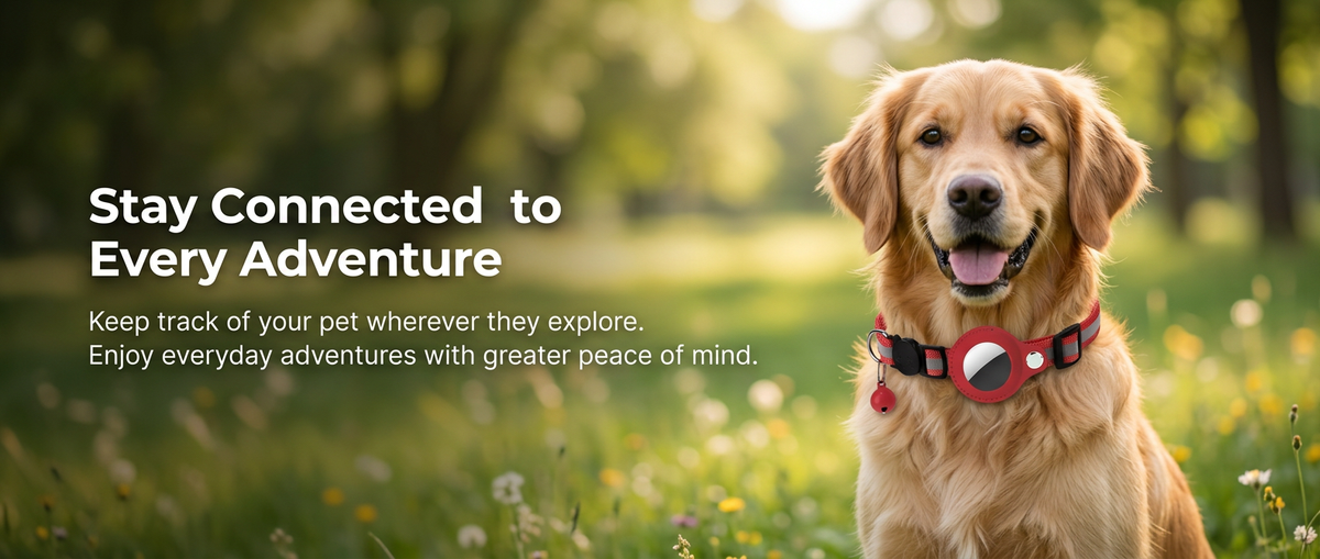Dog wearing a pet tracker collar outdoors with stay connected message