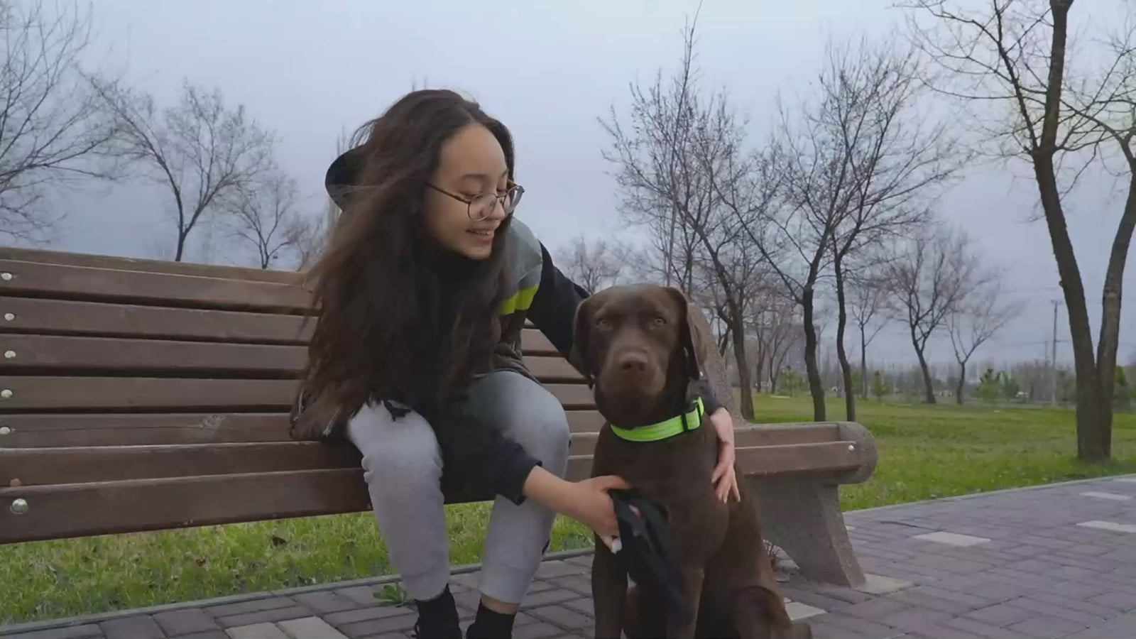 pet location finder