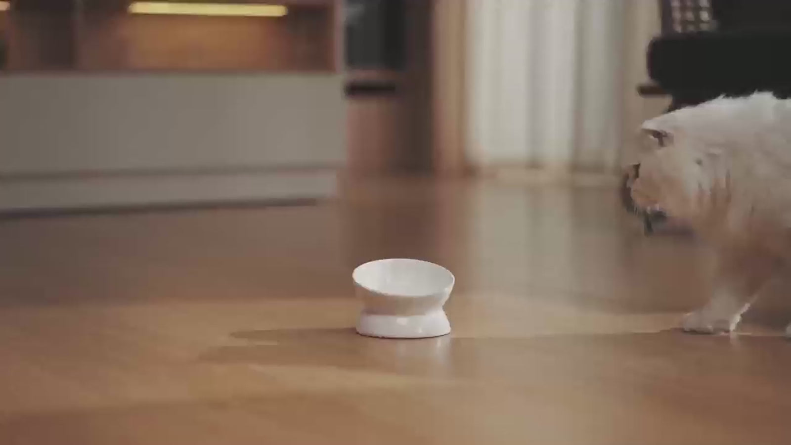 automatic pet feeding machine