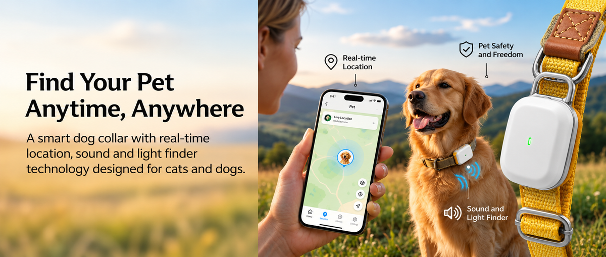 Smart location collar designed for cats and dogs