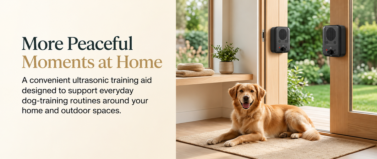 Golden Retriever relaxing at home beside two wall-mounted ultrasonic dog training devices, featuring adjustable frequency settings for everyday indoor and outdoor dog training routines.