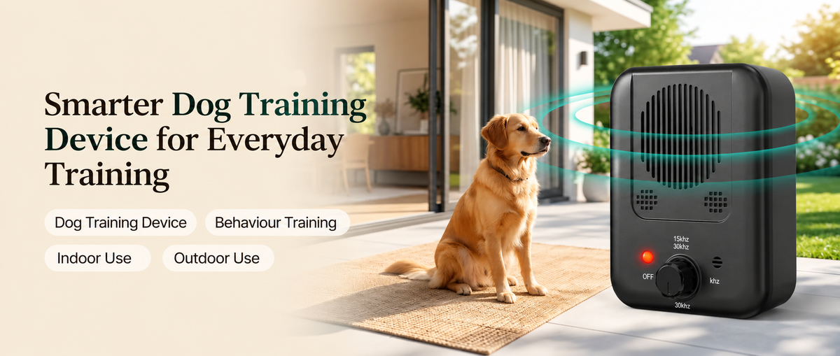 Golden Retriever resting comfortably near a garden doorway with compact black ultrasonic dog training devices mounted on wooden frames for convenient home and outdoor use.